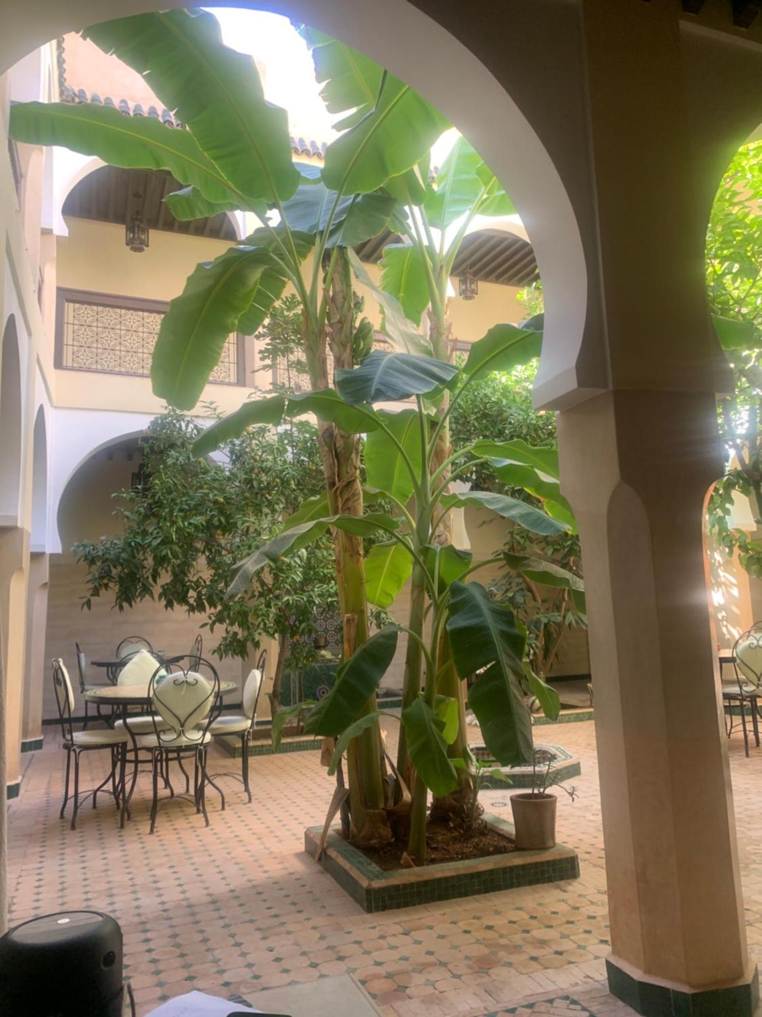 Riad Tidar By Phoenix Marrakesh Eksteriør bilde