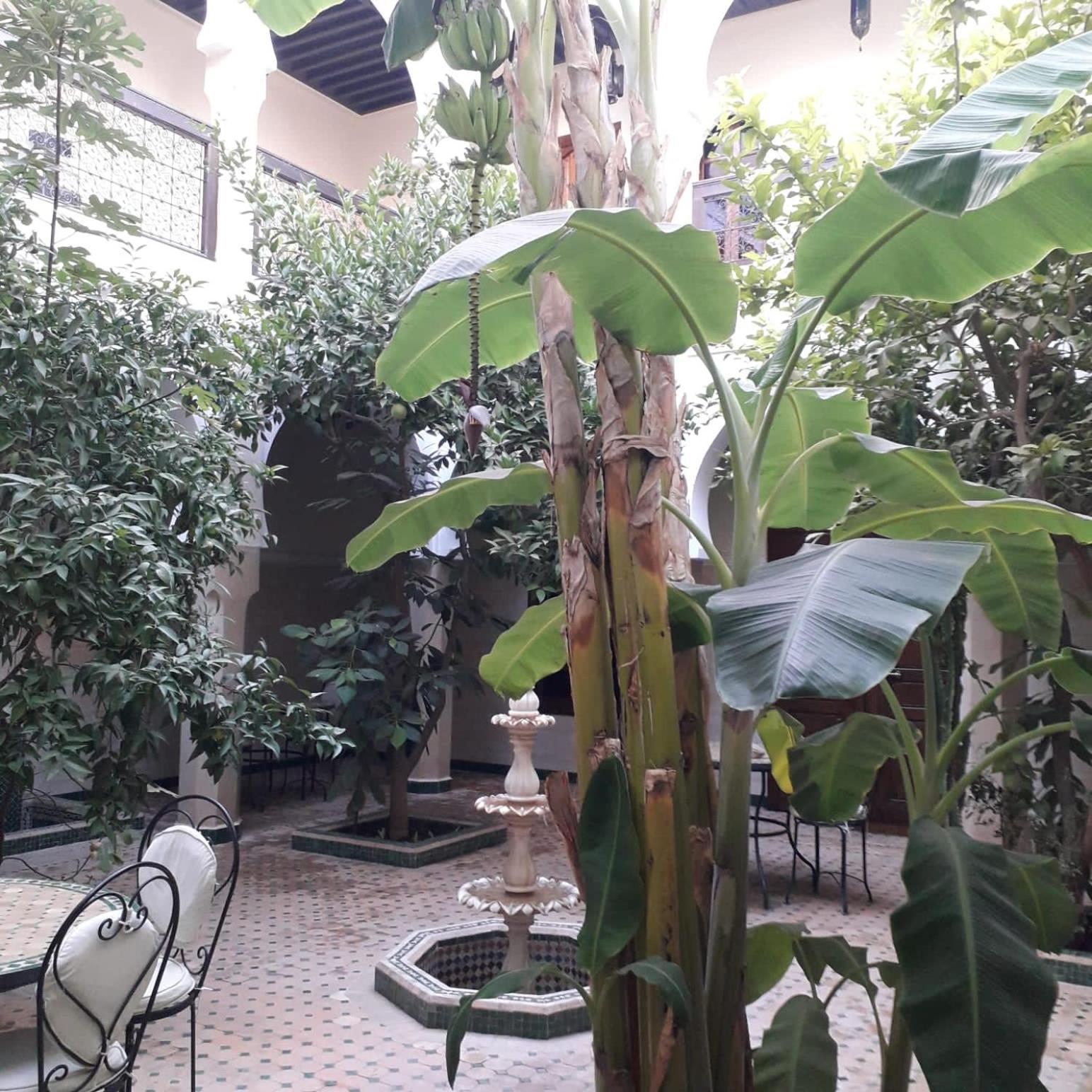 Riad Tidar By Phoenix Marrakesh Eksteriør bilde